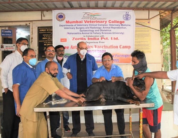 Free Anti Rabies Vaccination